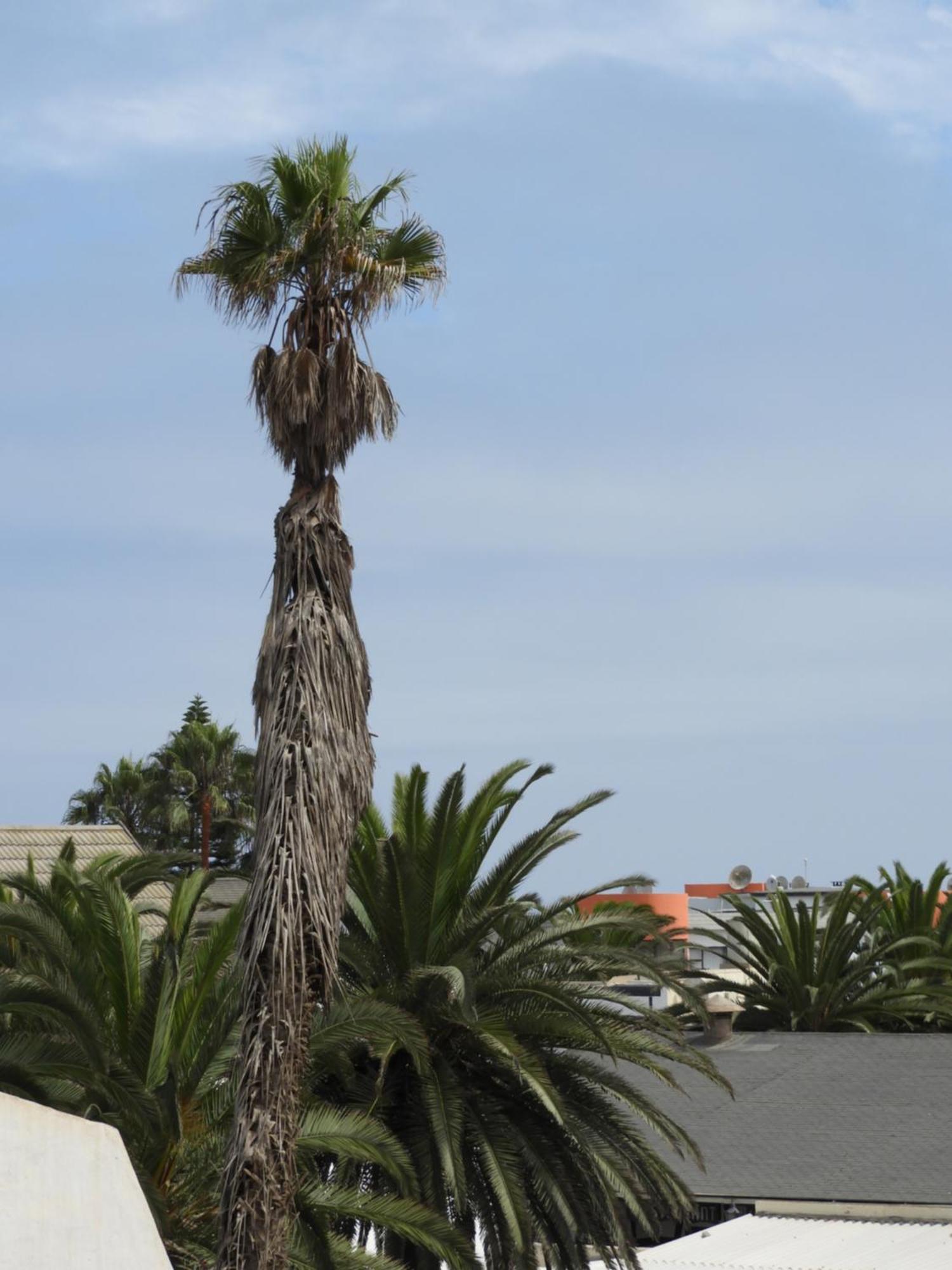 Central Self Catering Swakopmund Luaran gambar